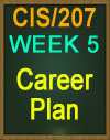 CIS/207 Career Plan